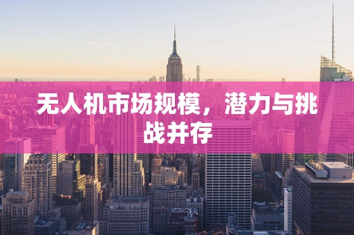 无人机市场规模，潜力与挑战并存