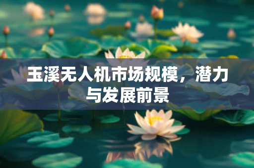 玉溪无人机市场规模，潜力与发展前景