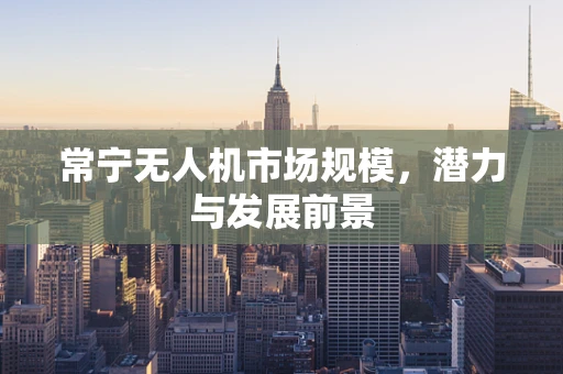 常宁无人机市场规模，潜力与发展前景