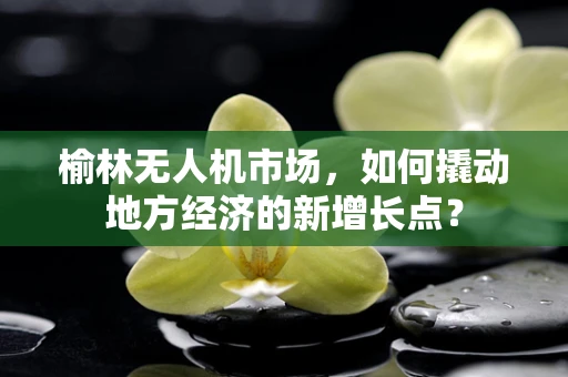 榆林无人机市场，如何撬动地方经济的新增长点？
