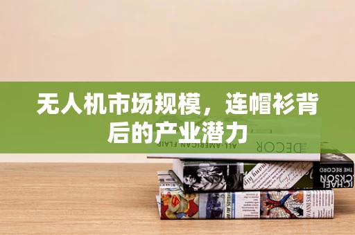 无人机市场规模，连帽衫背后的产业潜力