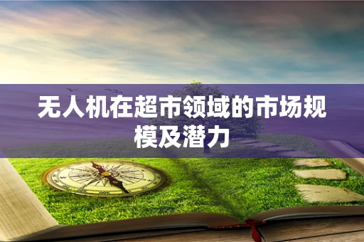 无人机在超市领域的市场规模及潜力