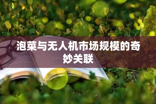 泡菜与无人机市场规模的奇妙关联