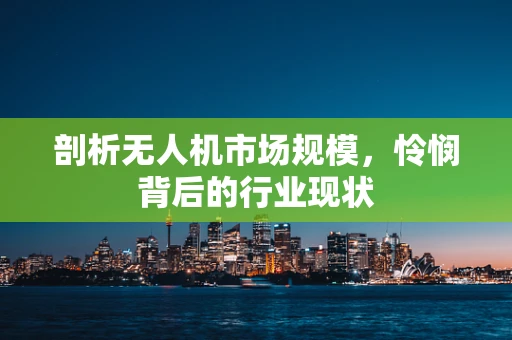 剖析无人机市场规模，怜悯背后的行业现状