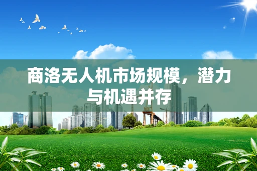 商洛无人机市场规模，潜力与机遇并存