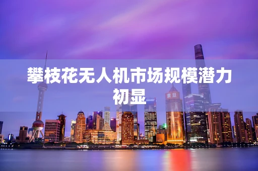 攀枝花无人机市场规模潜力初显