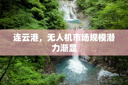 连云港，无人机市场规模潜力渐显