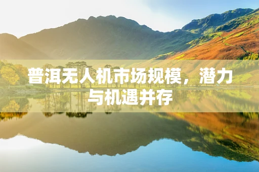 普洱无人机市场规模，潜力与机遇并存