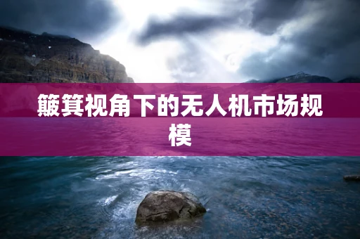 簸箕视角下的无人机市场规模