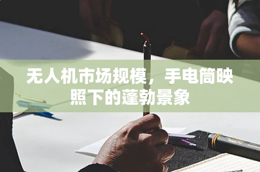 无人机市场规模，手电筒映照下的蓬勃景象