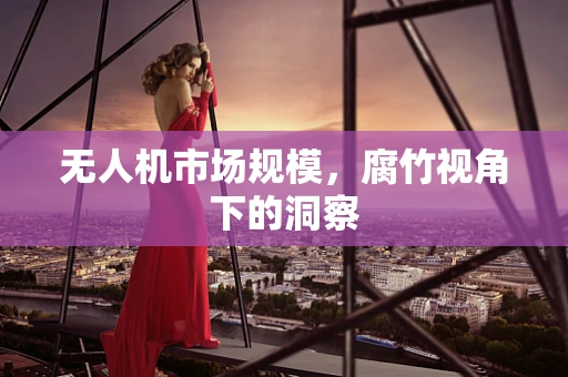 无人机市场规模，腐竹视角下的洞察
