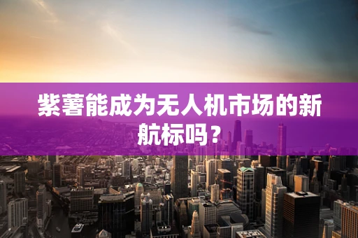 紫薯能成为无人机市场的新航标吗？