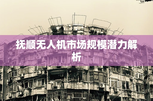 抚顺无人机市场规模潜力解析