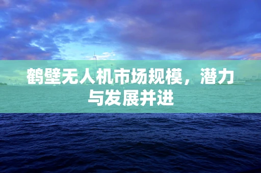 鹤壁无人机市场规模，潜力与发展并进