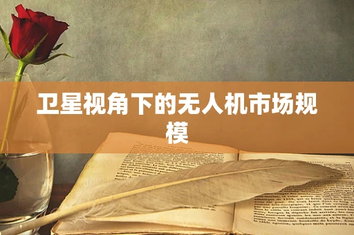 卫星视角下的无人机市场规模