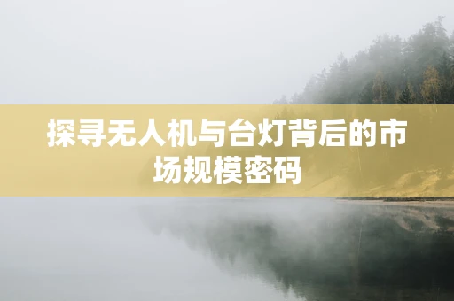 探寻无人机与台灯背后的市场规模密码