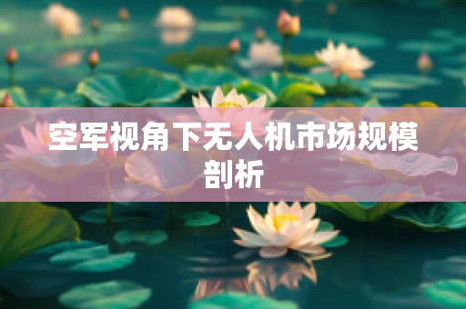 空军视角下无人机市场规模剖析