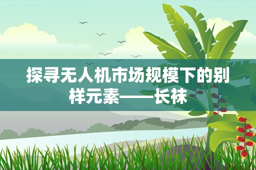 探寻无人机市场规模下的别样元素——长袜