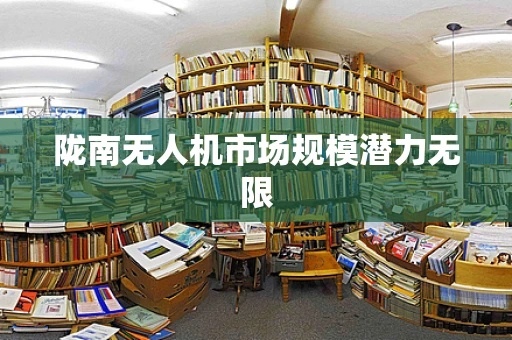 陇南无人机市场规模潜力无限