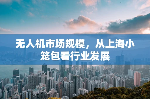 无人机市场规模，从上海小笼包看行业发展