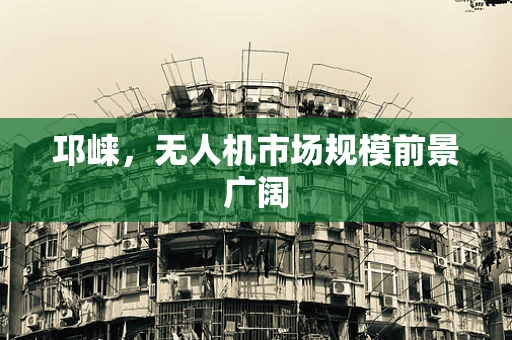 邛崃，无人机市场规模前景广阔