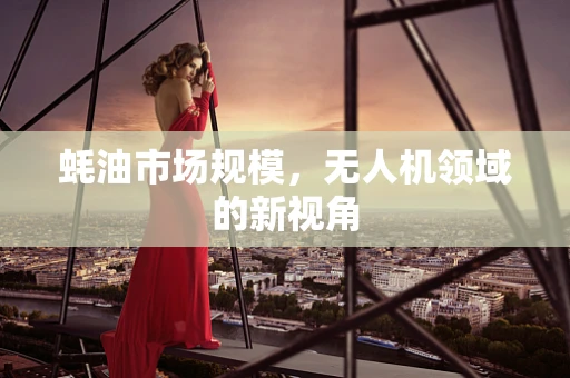 蚝油市场规模，无人机领域的新视角