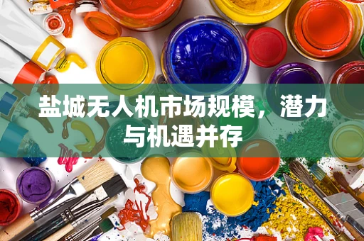 盐城无人机市场规模，潜力与机遇并存