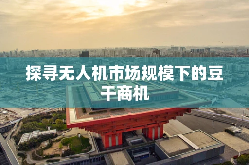 探寻无人机市场规模下的豆干商机