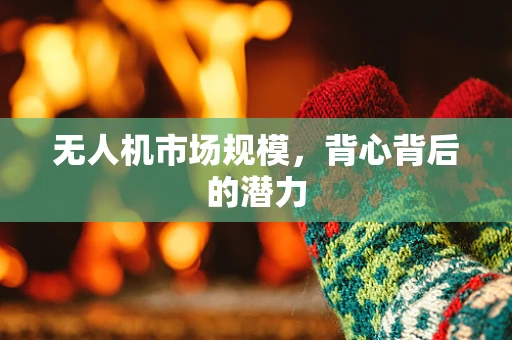 无人机市场规模，背心背后的潜力