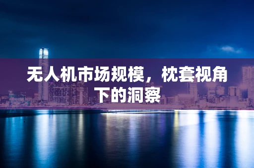 无人机市场规模，枕套视角下的洞察