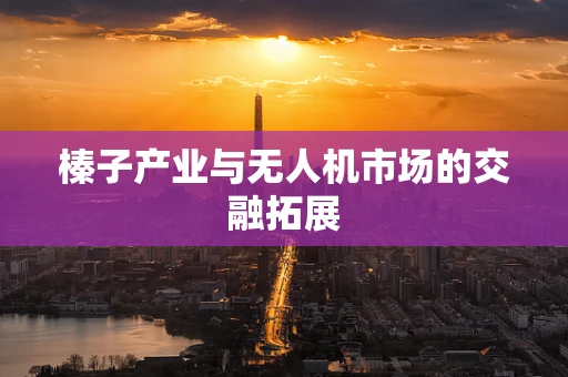 榛子产业与无人机市场的交融拓展