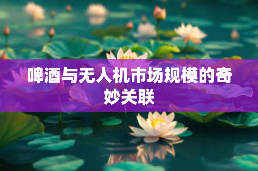 啤酒与无人机市场规模的奇妙关联