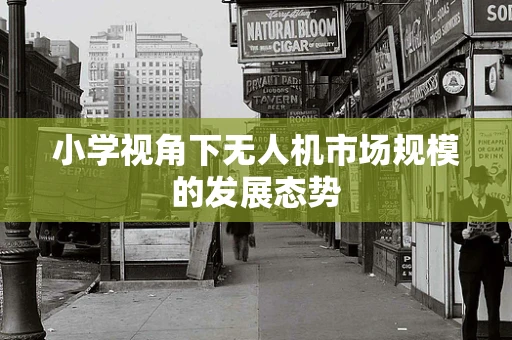 小学视角下无人机市场规模的发展态势