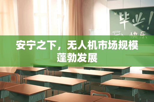 安宁之下，无人机市场规模蓬勃发展