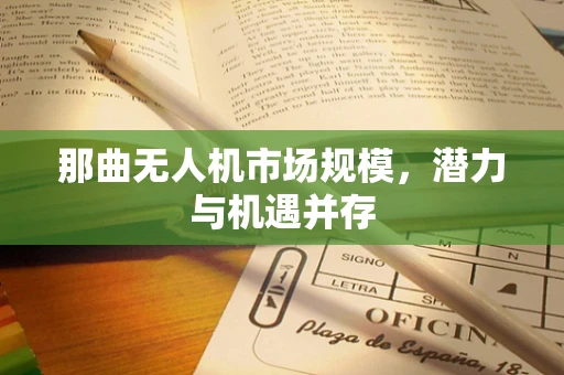 那曲无人机市场规模，潜力与机遇并存