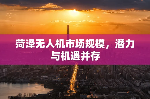 菏泽无人机市场规模，潜力与机遇并存