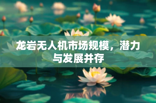 龙岩无人机市场规模，潜力与发展并存