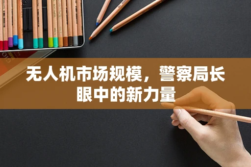 无人机市场规模，警察局长眼中的新力量