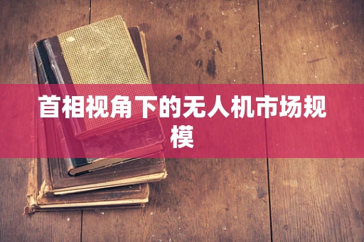 首相视角下的无人机市场规模