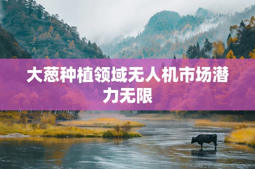 大葱种植领域无人机市场潜力无限