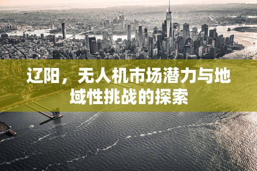 辽阳，无人机市场潜力与地域性挑战的探索