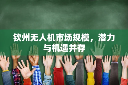 钦州无人机市场规模，潜力与机遇并存