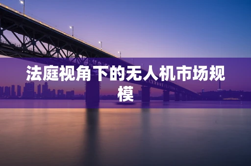 法庭视角下的无人机市场规模
