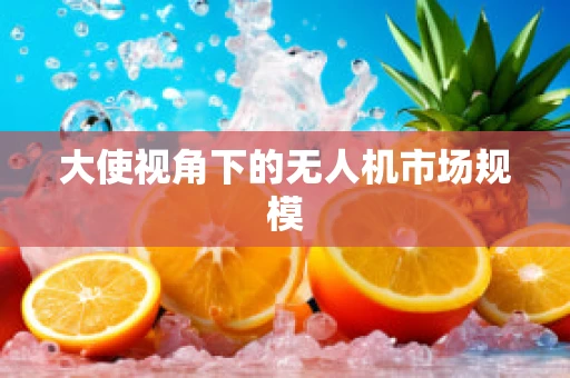 大使视角下的无人机市场规模