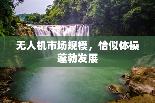 无人机市场规模，恰似体操蓬勃发展