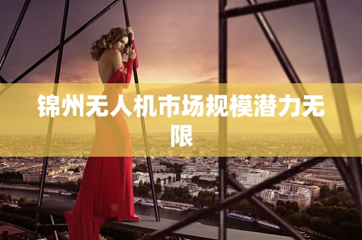锦州无人机市场规模潜力无限