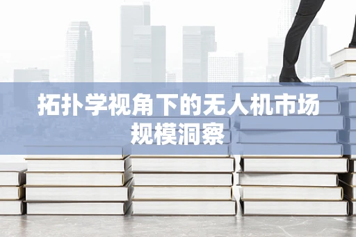 拓扑学视角下的无人机市场规模洞察
