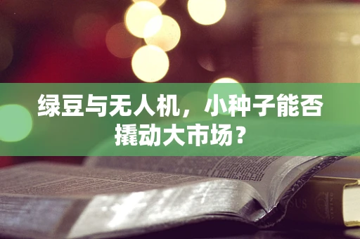 绿豆与无人机，小种子能否撬动大市场？