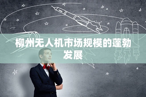 柳州无人机市场规模的蓬勃发展