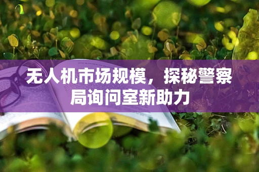 无人机市场规模，探秘警察局询问室新助力